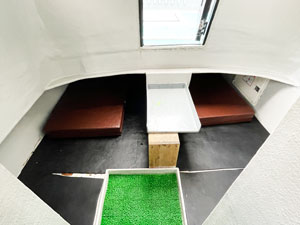 キャビンの前方からも出れます